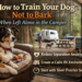 Train your dog
